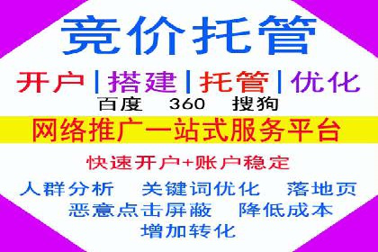 百度推广实战：案例分享与效果评估