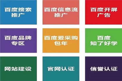 谷歌竞价广告与SEO结合的营销案例解析