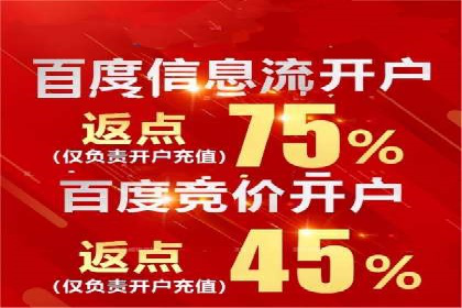 百度广告竞价策略解析与应用案例