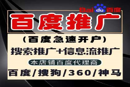 提升广告ROI：SEM竞价优化的实战案例